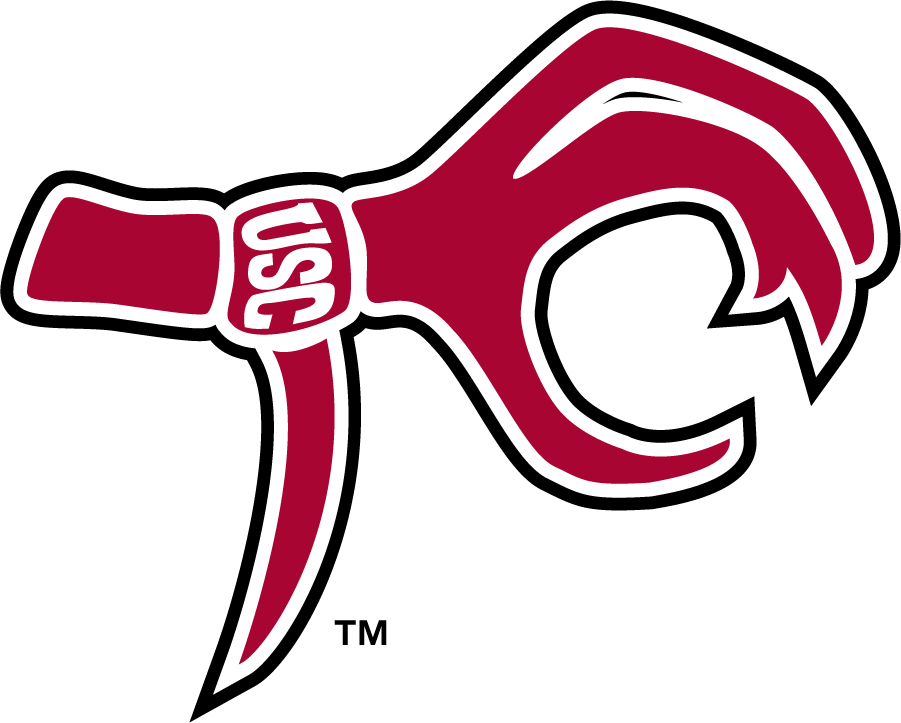 South Carolina Gamecocks 2006-2008 Misc Logo DIY iron on transfer (heat transfer)